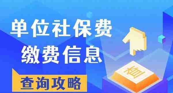 如何在电子税务局查询单位社保费缴费信息？