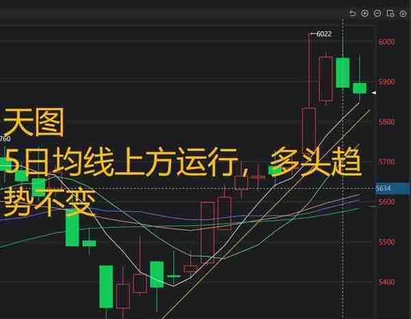 PTA期货行情分析