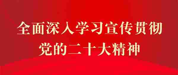 关于2022年度平安陇南建设考评结果的通报