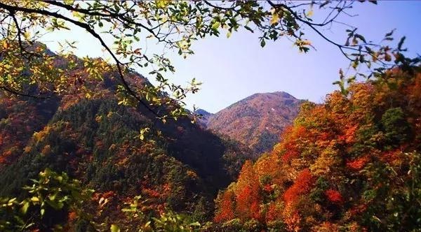 「国庆去哪玩」潜山必游景点推荐，家乡有美景，何必去远方