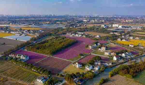 对三峡移民的农家乐项目进行微改造，平湖钟埭努力绘就共同富裕新未来