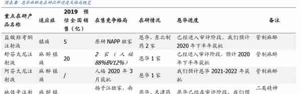 恩华药业的价值分析