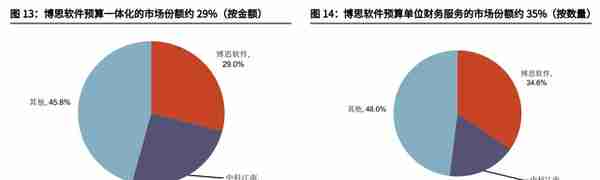 财政信息化龙头，博思软件：财政一体化方兴未艾，公采步入收获期