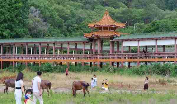 百岁山下享百岁，清凉山上纳清凉！梅州两大胜境迎来“避暑潮”