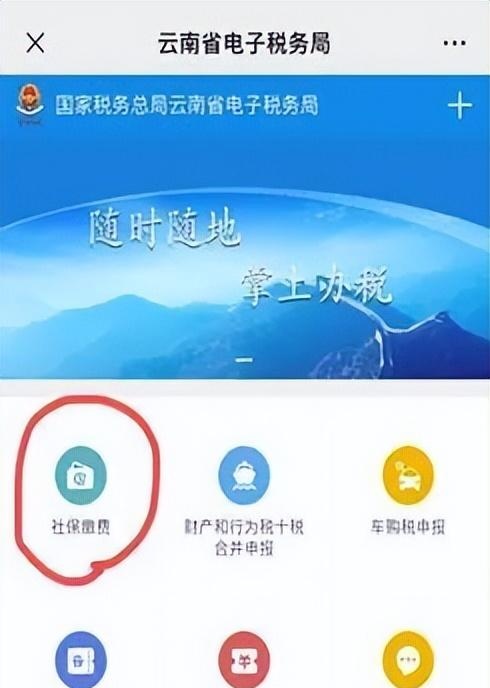 @祥云人：2022年灵活就业人员社保缴费开始了