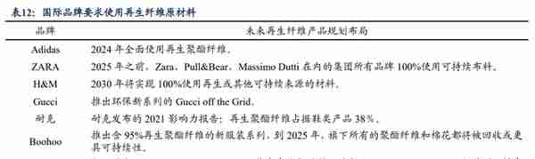 锦纶行业领航者，台华新材：上游技术突破带来发展机遇