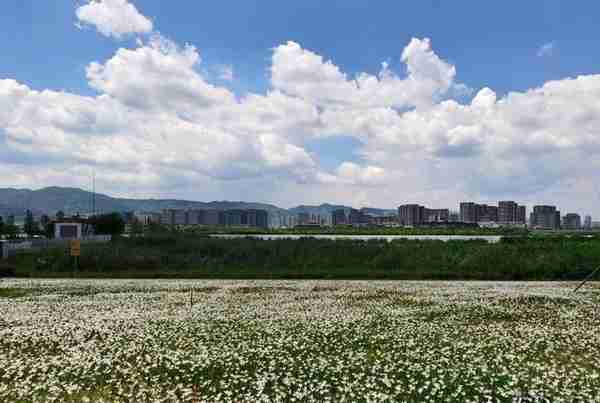 从大观楼（南园）到海埂大坝——探访彩虹大道