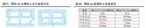 锦纶行业领航者，台华新材：上游技术突破带来发展机遇