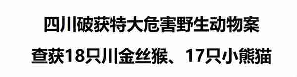 台湾送大陆的最大鳄鱼快被养死了？中国野生动物园究竟有多“野”