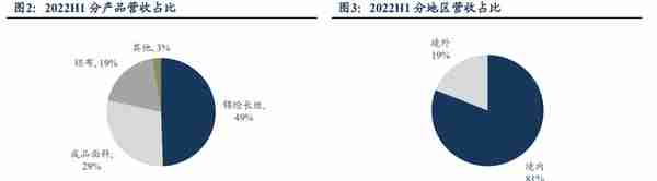 锦纶行业领航者，台华新材：上游技术突破带来发展机遇