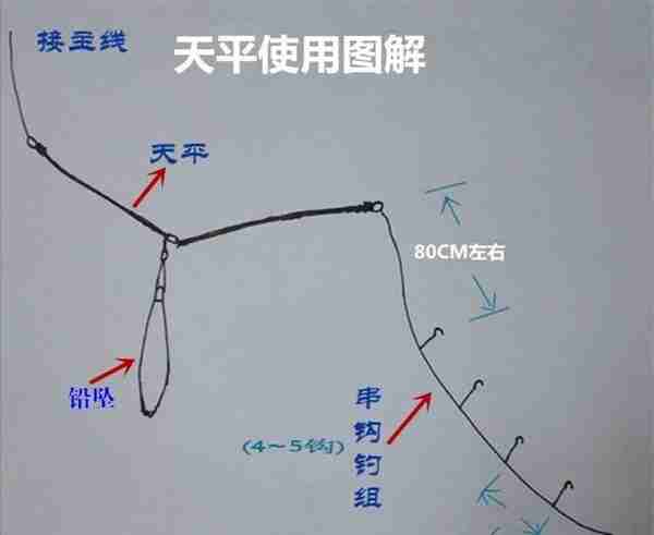 知己知彼百战不殆！说说细鳞鯻（茂公鱼）的钓法