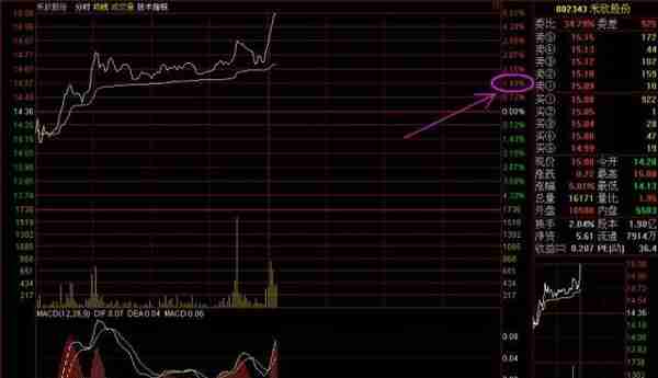 北大金融系教授罕见发声：为什么股票一卖出就出现大涨，是不是帐户被庄家监视了？不想继续亏损务必看懂