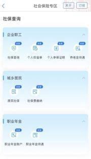 社保查缴办，尽在“爱山东”社会保险专区