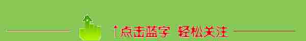 连续6年！金山这个村又分红啦！今年又多了...