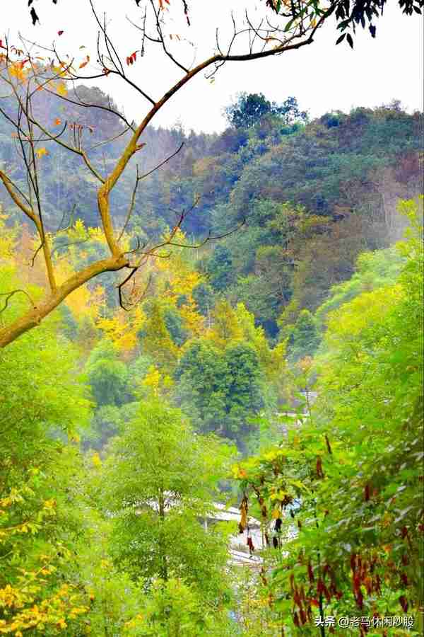 街子古镇一一有山有水有步道，有寺有庙有古迹，休闲健身好去处