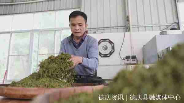 德庆高良镇：发展种植业助力老区人民奔康致富