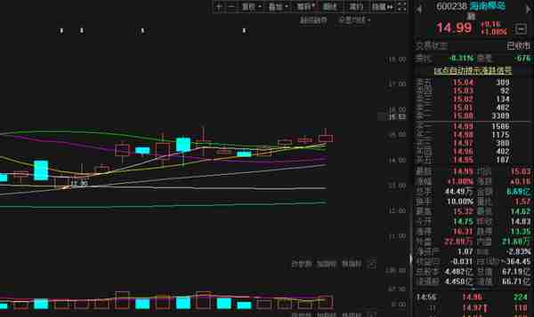 业绩惨不忍睹  控股权或将旁落  海南椰岛起伏背后隐现区域酒企经营困局