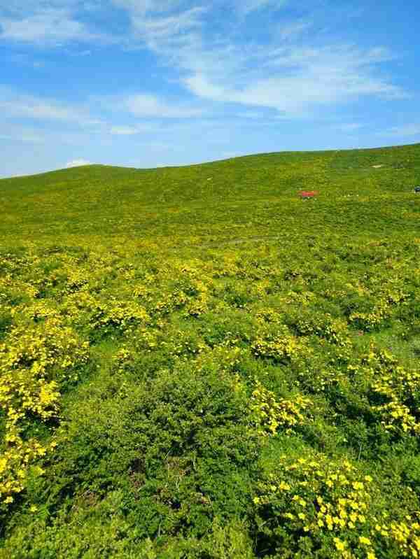 太子岩(太子岩在哪里)