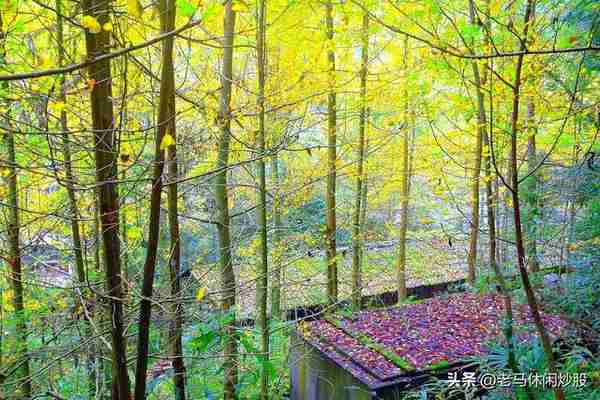 街子古镇一一有山有水有步道，有寺有庙有古迹，休闲健身好去处