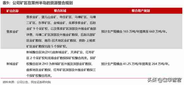 黄金龙头企业，山东黄金：主营业务高度聚焦，乘金价上行东风