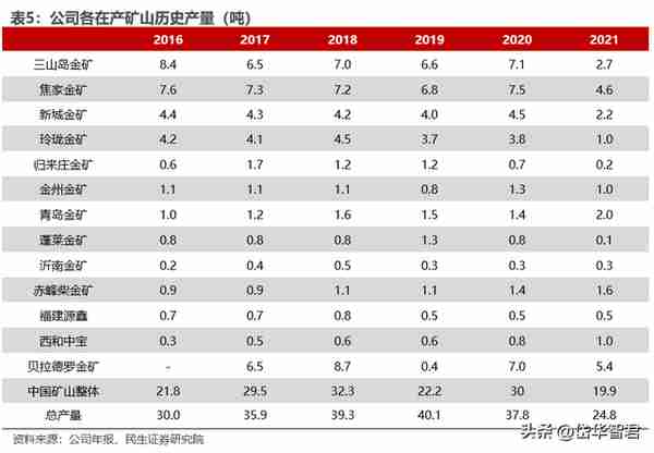 黄金龙头企业，山东黄金：主营业务高度聚焦，乘金价上行东风