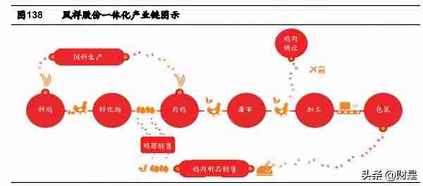 禽肉行业之鸡肉深度研究报告：全球视野下的我国鸡肉消费再启航