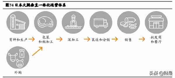 禽肉行业之鸡肉深度研究报告：全球视野下的我国鸡肉消费再启航