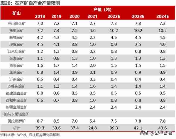 黄金龙头企业，山东黄金：主营业务高度聚焦，乘金价上行东风