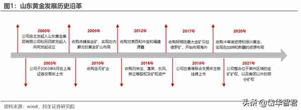 黄金龙头企业，山东黄金：主营业务高度聚焦，乘金价上行东风