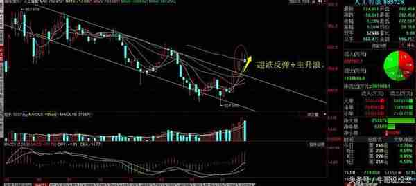 9.16 基本面分析与量化选股策略与方法（最适用的基本面分析）