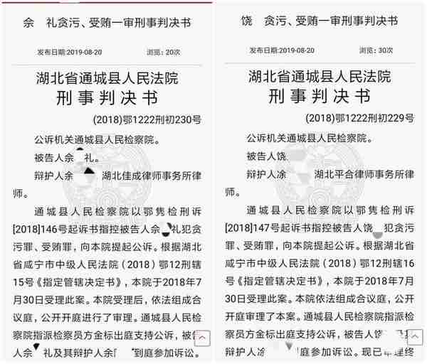 咸宁市城投公司财务总监、会计因贪污受贿被判刑 曾用虚假施工合同向农发行贷款8000万元