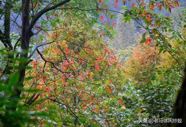 街子古镇一一有山有水有步道，有寺有庙有古迹，休闲健身好去处