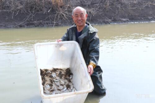 天津宁河：国家湿地畔百鸟翔集稻蟹香 未来科技城产业集聚蓄动能