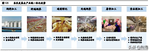 禽肉行业之鸡肉深度研究报告：全球视野下的我国鸡肉消费再启航