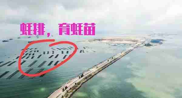 为爱而建最美海上公路，2022钦州三墩公路自驾游攻略