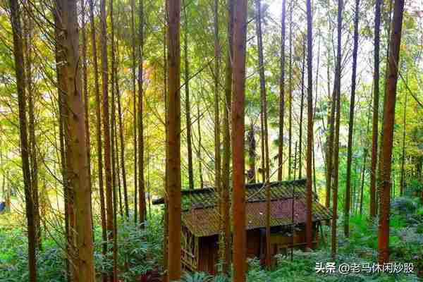 街子古镇一一有山有水有步道，有寺有庙有古迹，休闲健身好去处