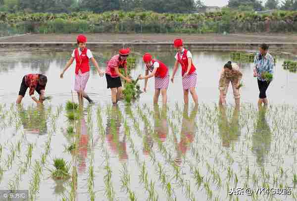 盘点入驻南京禄口国际机场的37大民用航空公司