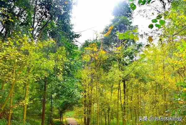 街子古镇一一有山有水有步道，有寺有庙有古迹，休闲健身好去处