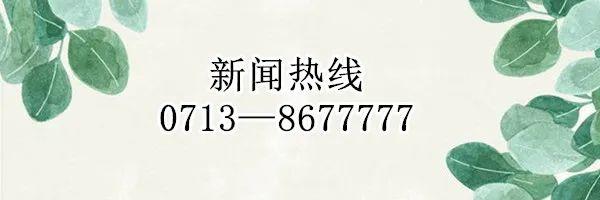 企业养老保险个人参保证明在家就可查询打印