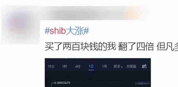 shib也能炒，30天暴涨百倍？我真的服了币圈了