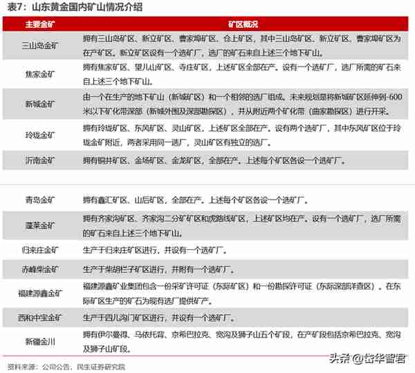 黄金龙头企业，山东黄金：主营业务高度聚焦，乘金价上行东风