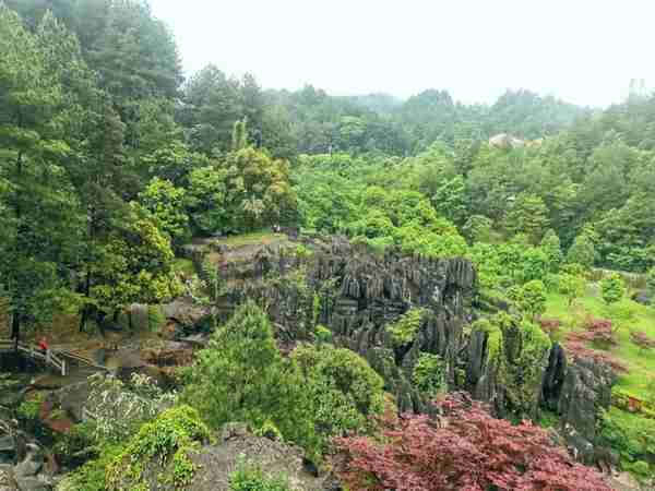 重庆万盛旅游景点汇总，石林比黑山谷好玩