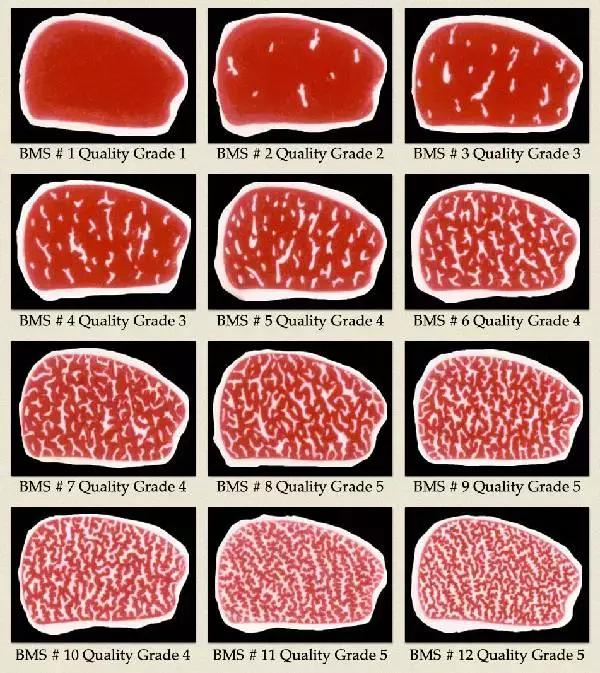 日本和牛：一辈子总要吃一次的顶级牛肉