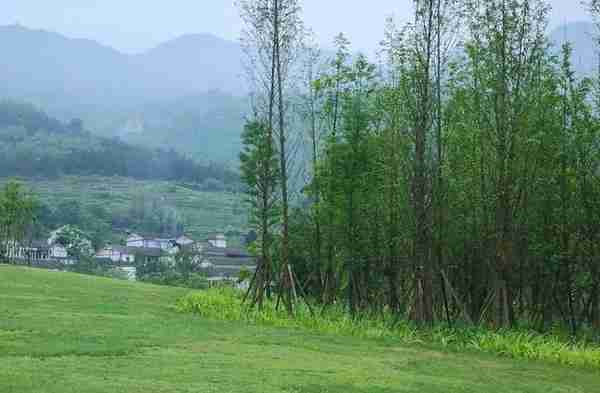 重庆万盛旅游景点汇总，石林比黑山谷好玩