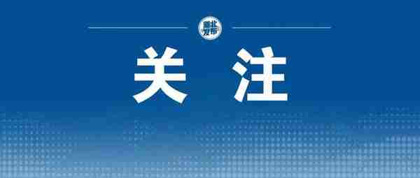 事关社保系统停机，最新回应来了！