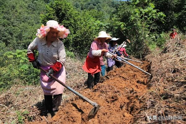 毕节国家森林公园白马山景区：让群众吃上“生态饭”走上致富路